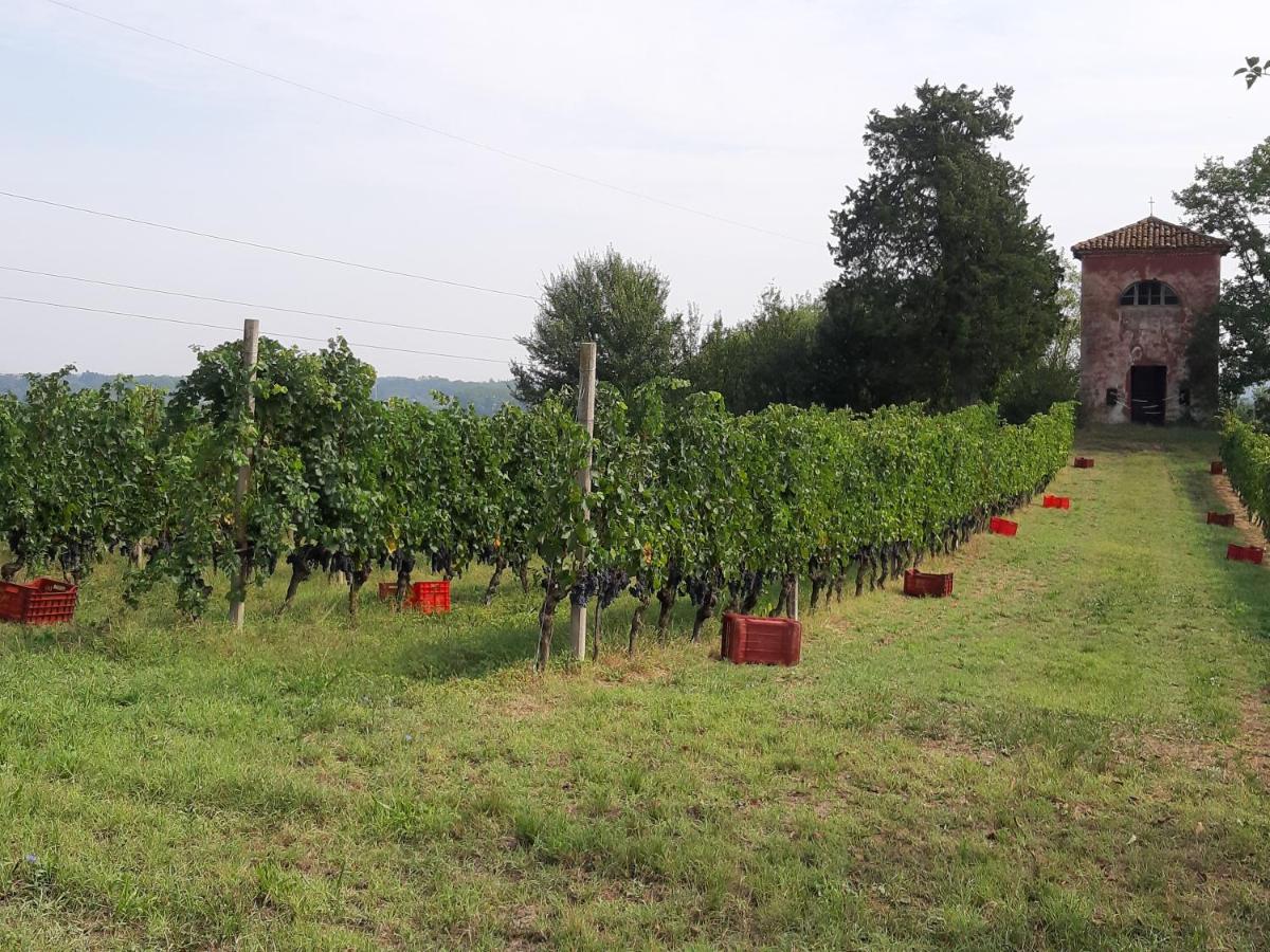 Marchesi Incisa Winery Lodge Rocchetta Tanaro Exterior photo