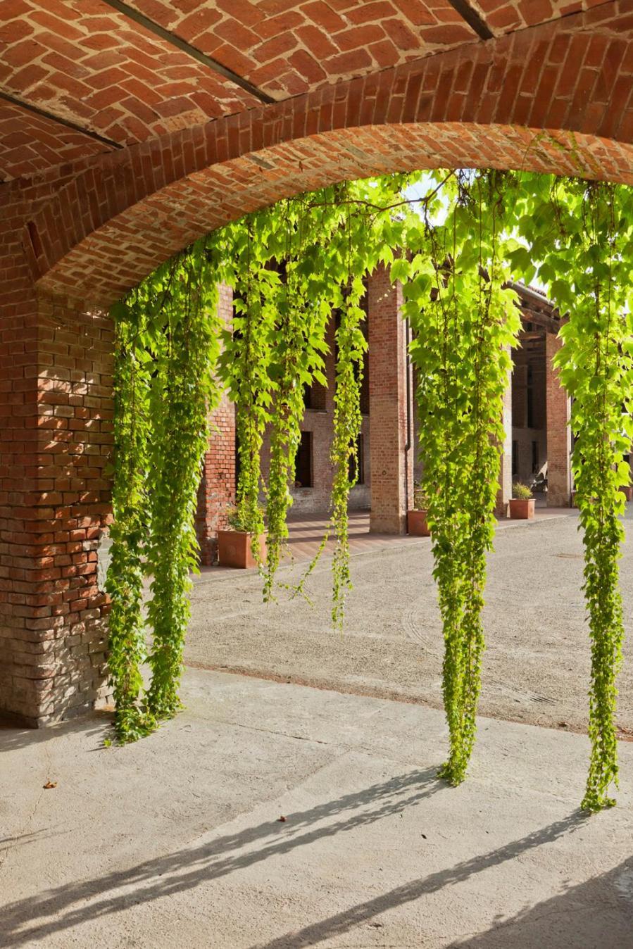 Marchesi Incisa Winery Lodge Rocchetta Tanaro Exterior photo